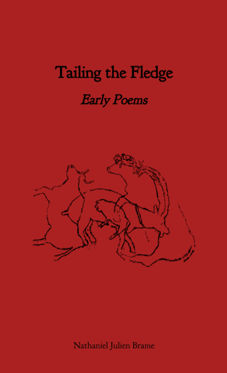 cover image for tailing the fledge